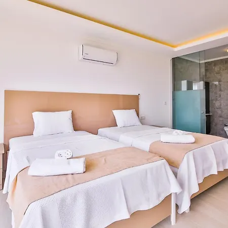 Premium 2 Villa
